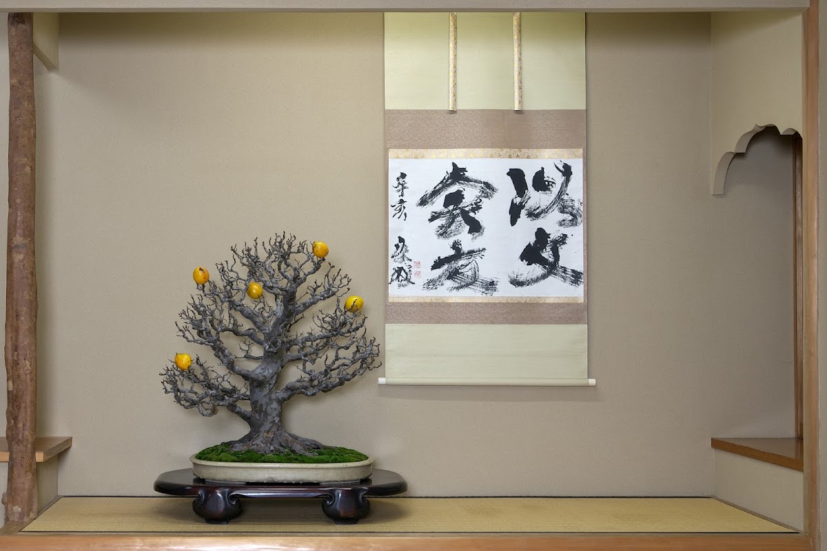 Shunkaen Bonsai Museum