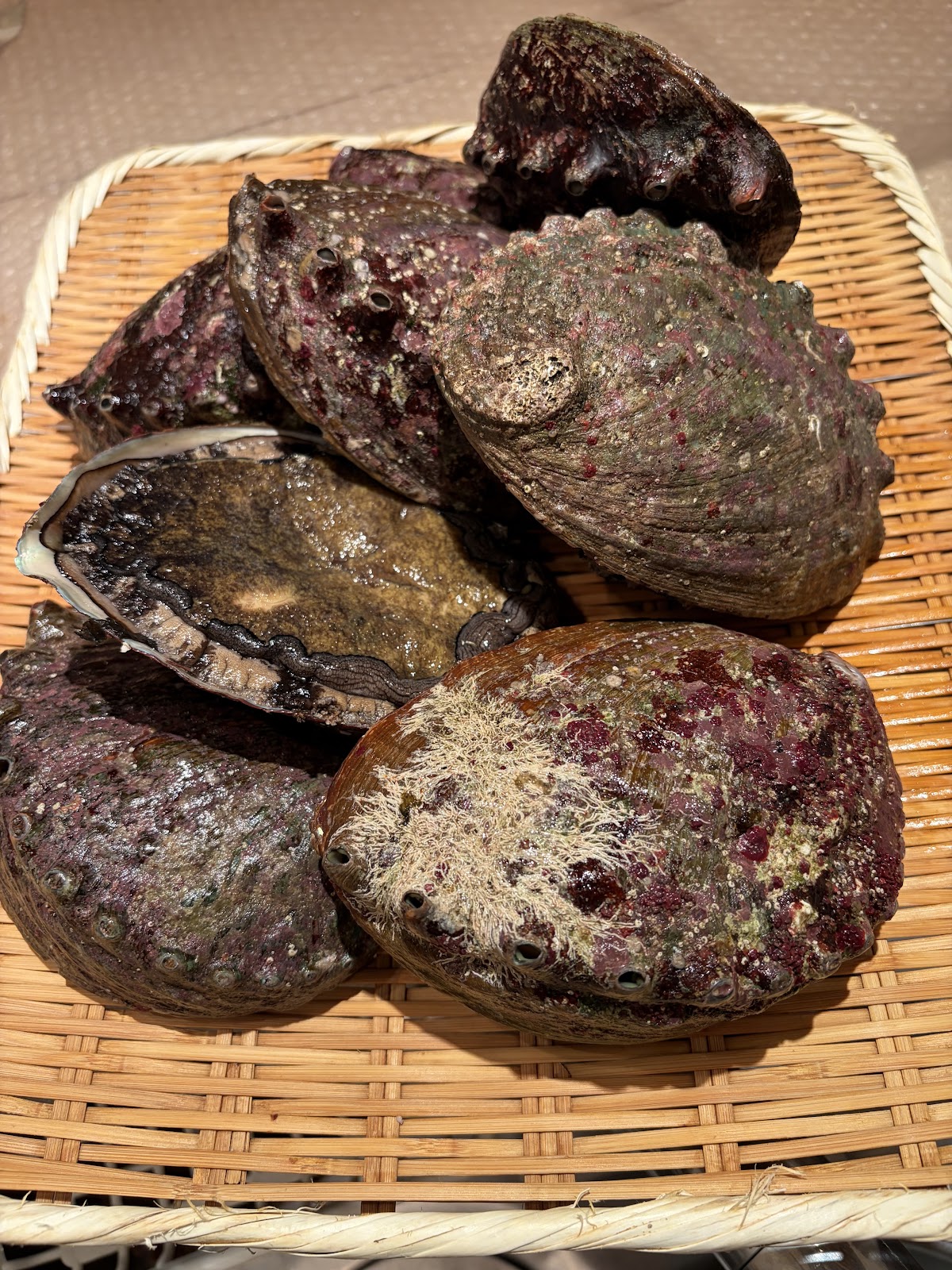 Oryōri Katsushi