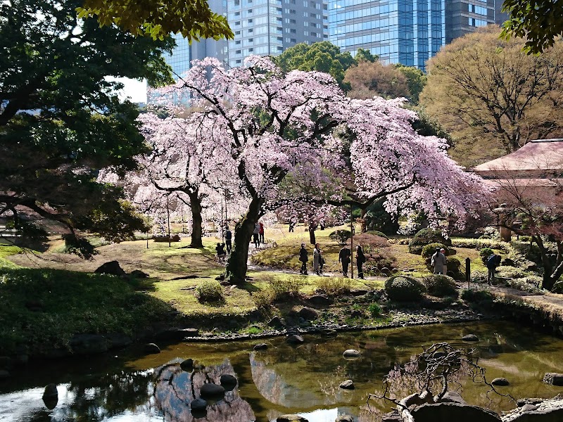 Koishikawa Korakuen Gardens