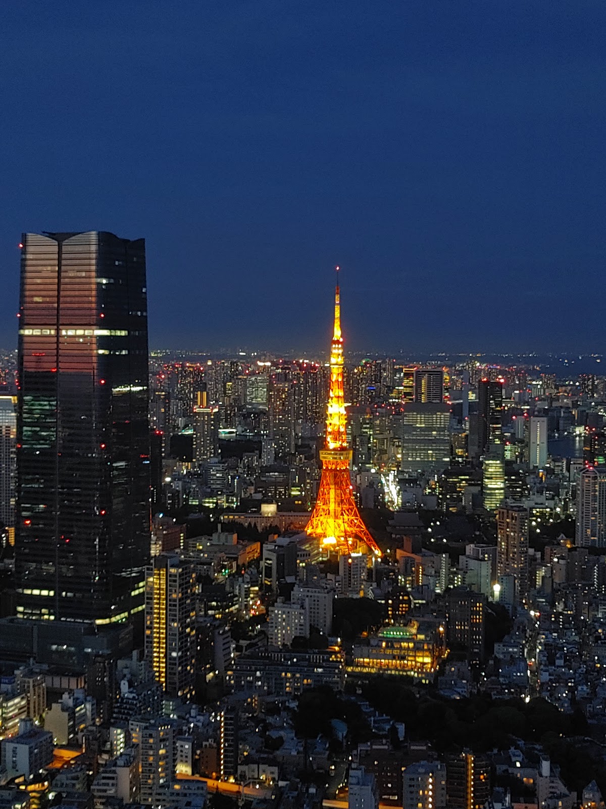 Tokyo City View